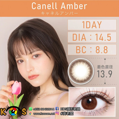 TeAmo 1Day Canell Amber ティアモ ワンデー キャネルアンバー TeAmo 1Day Canell Amber ティアモ ワンデー キャネルアンバー